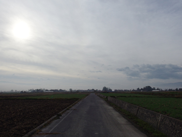 a0014840_122255.jpg