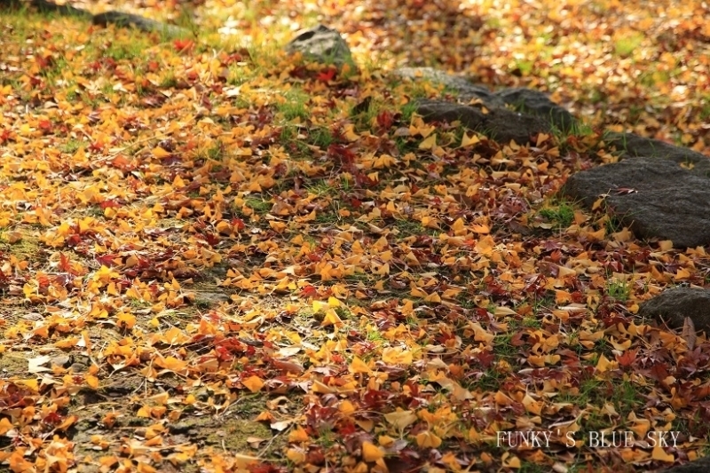 c0145250_10434181.jpg