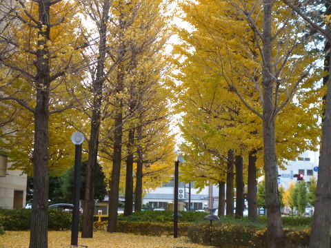 b0220251_9234320.jpg