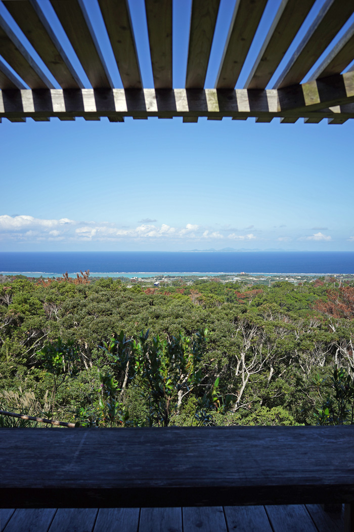 b0049152_19395864.jpg