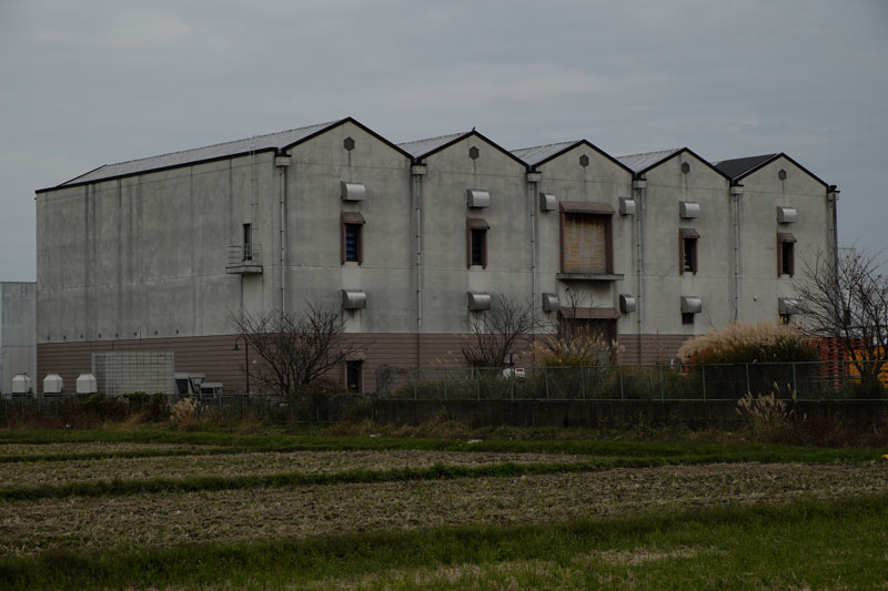 d0342652_11392682.jpg