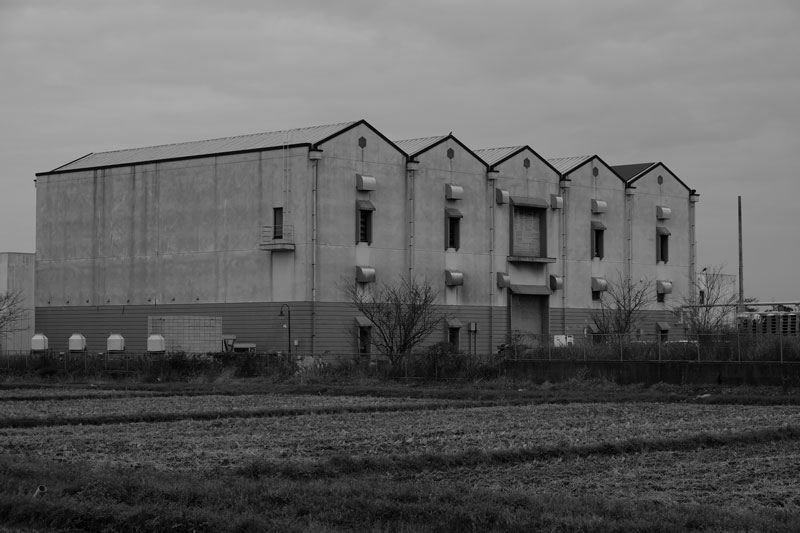 d0342652_11403624.jpg