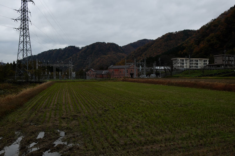 d0342652_114266.jpg