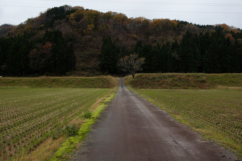 d0342652_1195264.jpg