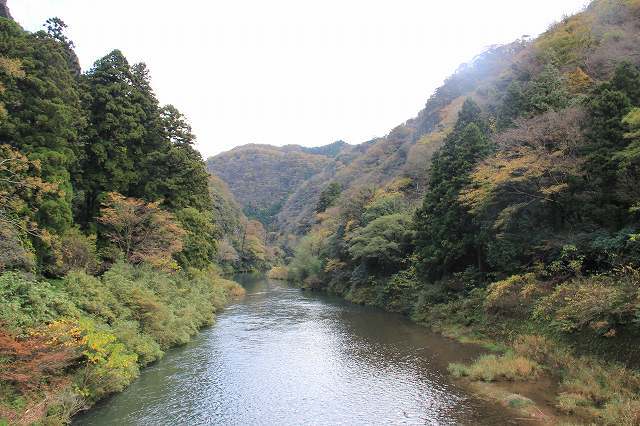 f0340155_11383178.jpg