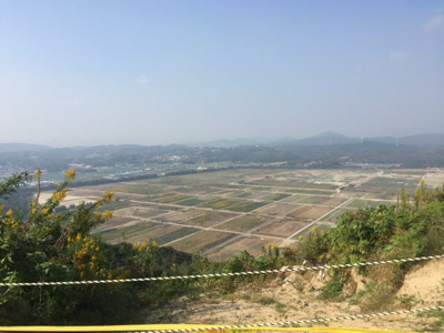 a0151659_17203044.jpg