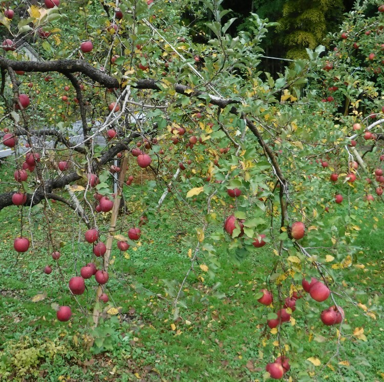 b0304662_22124925.jpg