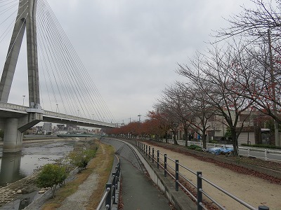 b0096463_1022524.jpg