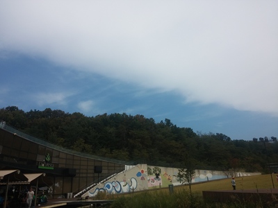 b0045267_1703924.jpg