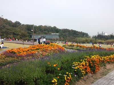 b0045267_1712759.jpg