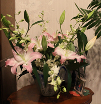 c0117570_1639388.jpg