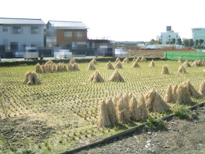 c0112172_23544425.jpg