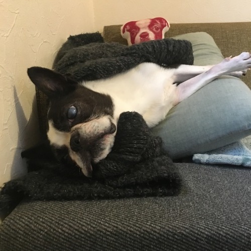 d0041575_21254379.jpeg