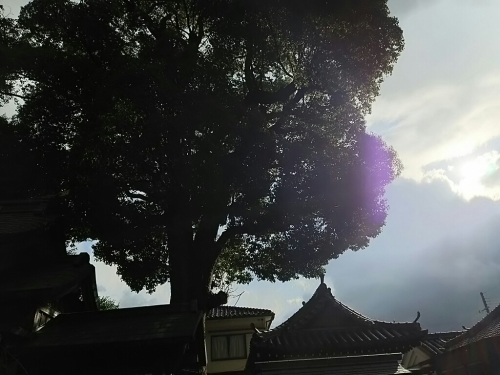 f0152875_07412423.jpg