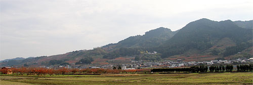 c0152779_14503440.jpg