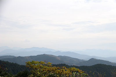 c0152779_1450454.jpg