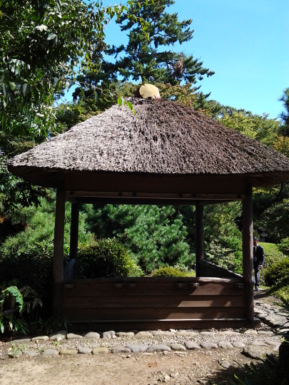 d0344183_16254369.jpg