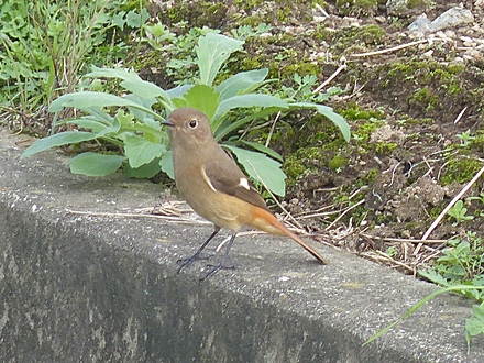 f0357487_23292297.jpg