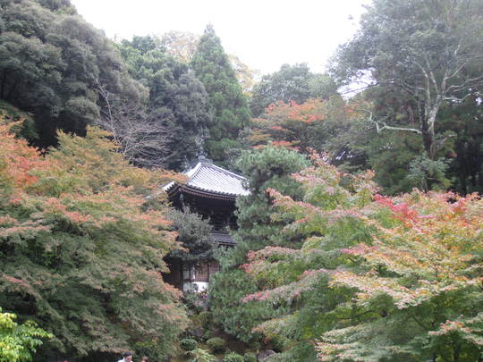 f0010195_21201287.jpg