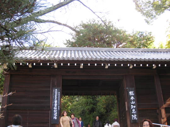 f0010195_21595735.jpg
