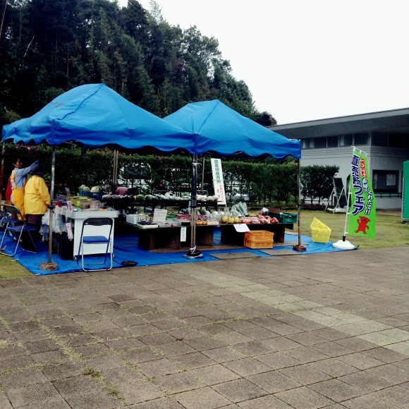 f0187704_11481853.jpg