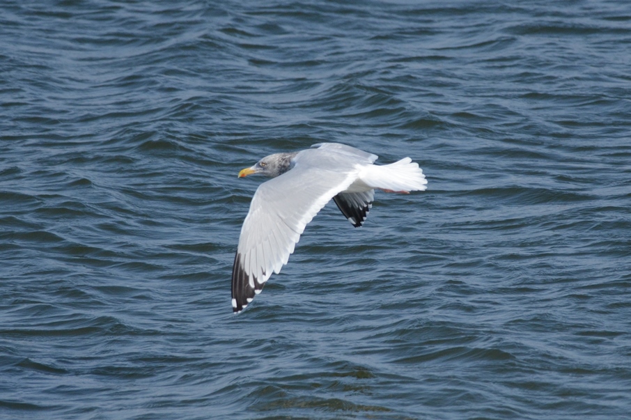 b0137208_22201283.jpg