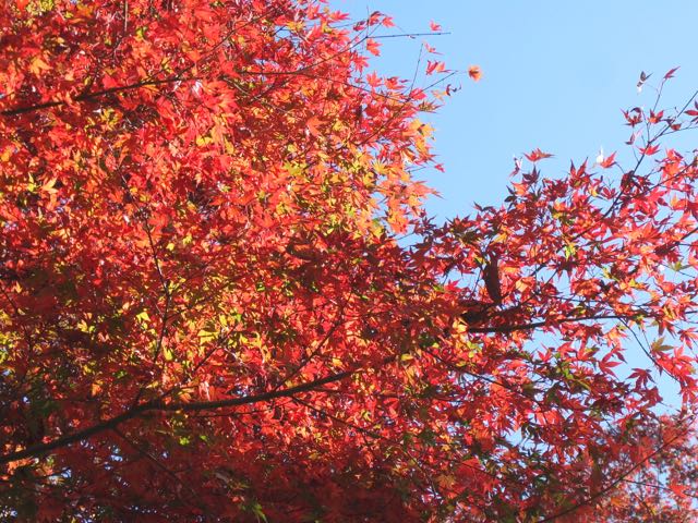 b0309813_118697.jpg