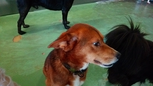 f0078320_19211593.jpg
