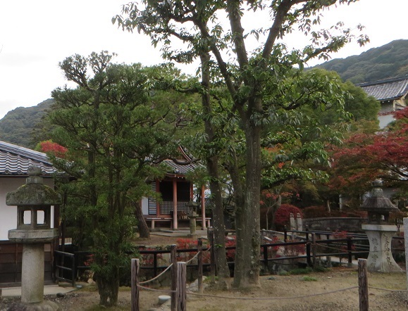 c0280322_20370252.jpg