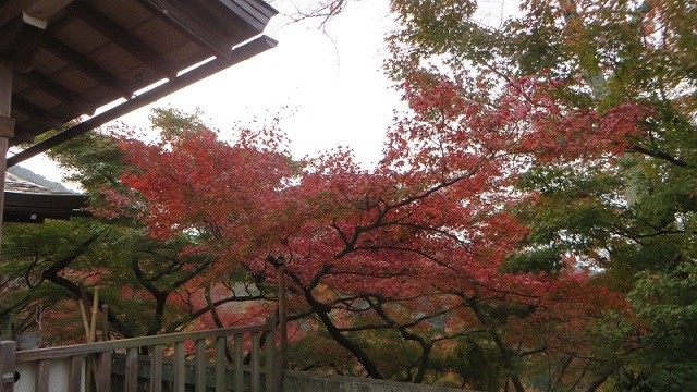 c0280322_20444450.jpg