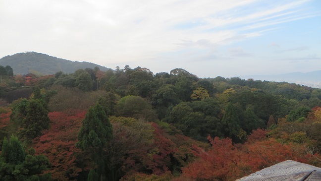 c0280322_20480761.jpg