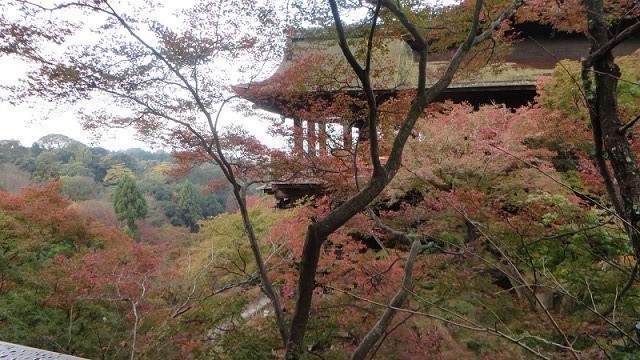 c0280322_20561636.jpg