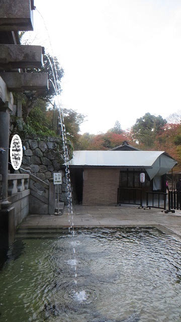 c0280322_20573342.jpg