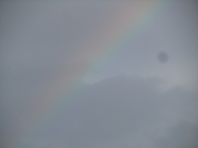 b0149071_1542229.jpg