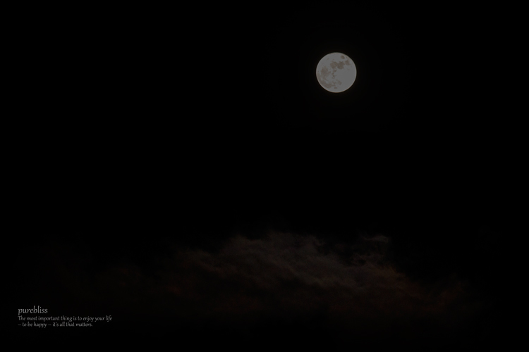 b0243873_22162300.jpg