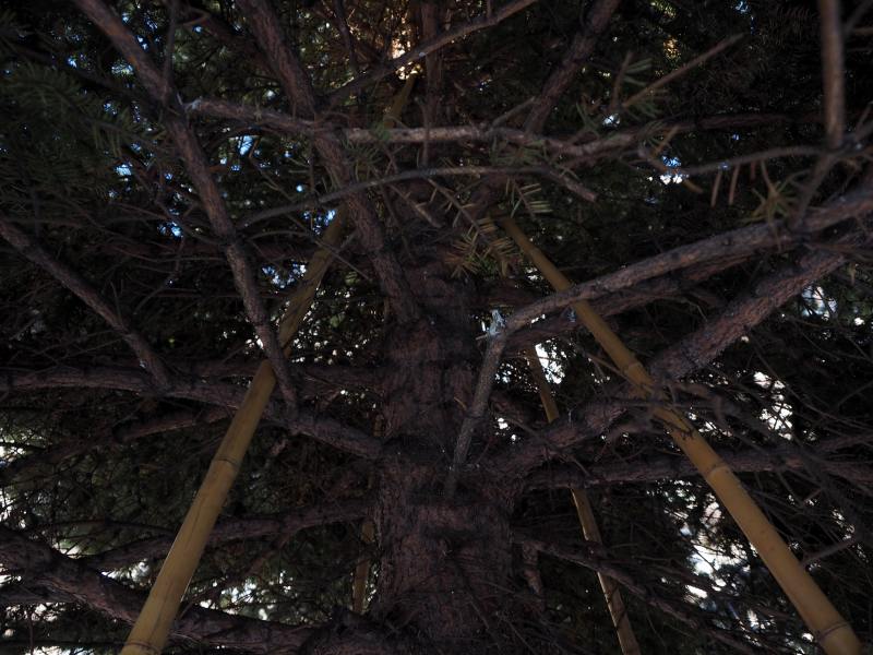 c0183777_20155491.jpg