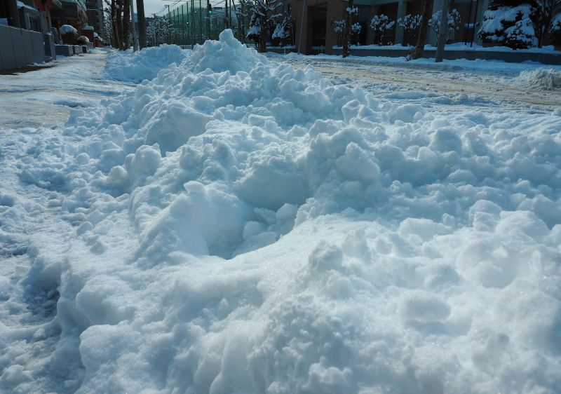 c0183777_2020337.jpg
