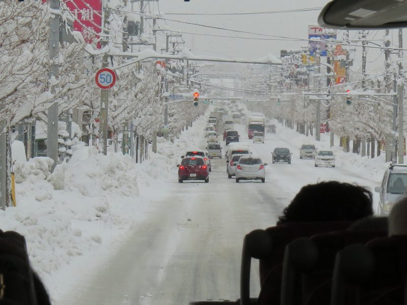 c0183777_7305631.jpg