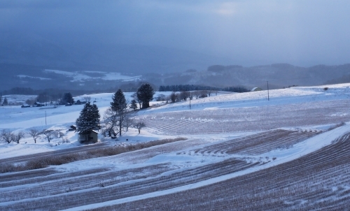 c0355778_21331453.jpg