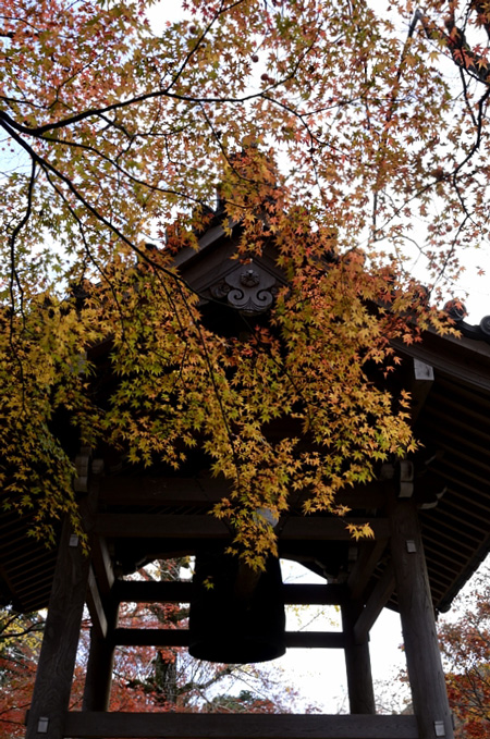 f0108478_21125165.jpg
