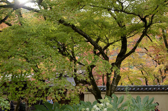 f0108478_2132519.jpg