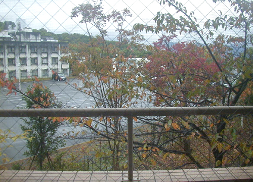 d0053294_2262172.jpg