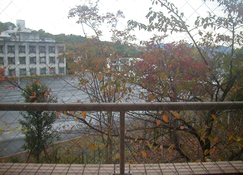 d0053294_2264156.jpg