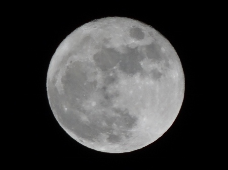 a0125598_21245617.jpg