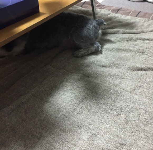 b0188998_00024917.jpeg