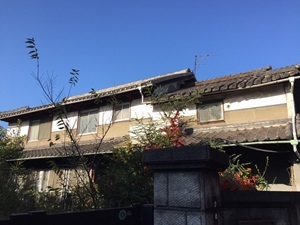 d0240201_15173930.jpg