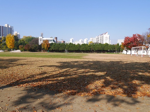 a0140305_1111077.jpg