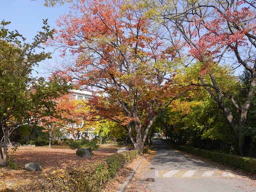 a0140305_2202135.jpg