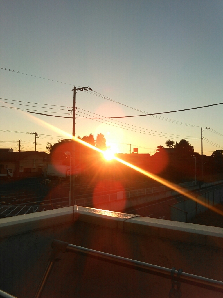 f0113108_08033608.jpg