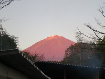 d0027711_1226266.jpg